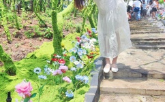 苍井空爆影免费下载